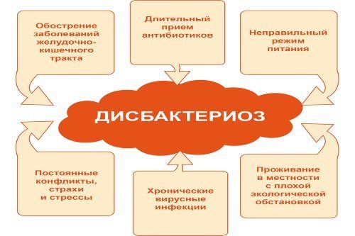 Дисбактериоз кишечника: симптомы, лечение, восстановление микрофлоры