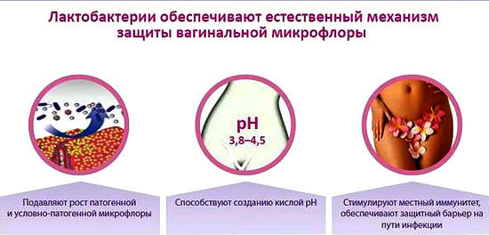 Дисбактериоз влагалища &mdash; причины, симптомы, лечение бактериального вагиноза