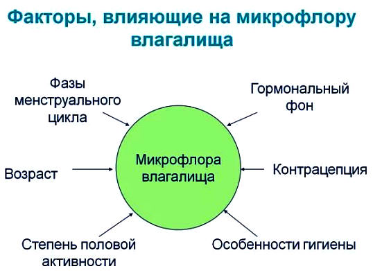 Дисбактериоз влагалища &mdash; причины, симптомы, лечение бактериального вагиноза