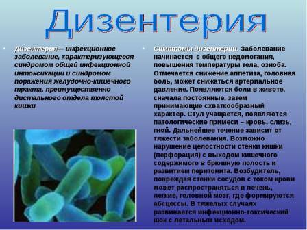 Дизентерия лечение народными средствами / народная медицина