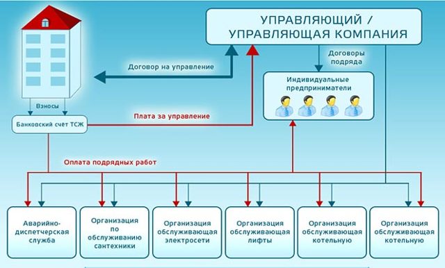 Дук или тсж что лучше