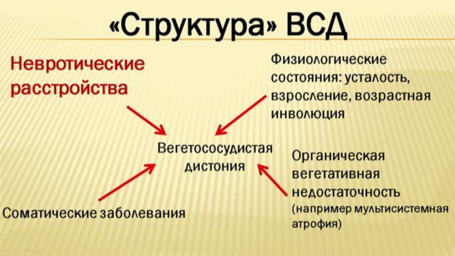 Дыхательная гимнастика при всд: упражнения лфк, зарядка амосова