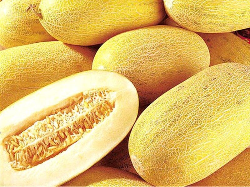 Дыня &mdash; это ягода или фрукт, польза и вред для организма, как выбрать