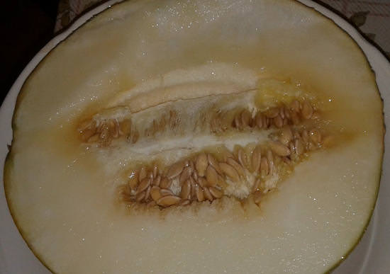 Дынные семечки — польза и вред, лечение и очищение