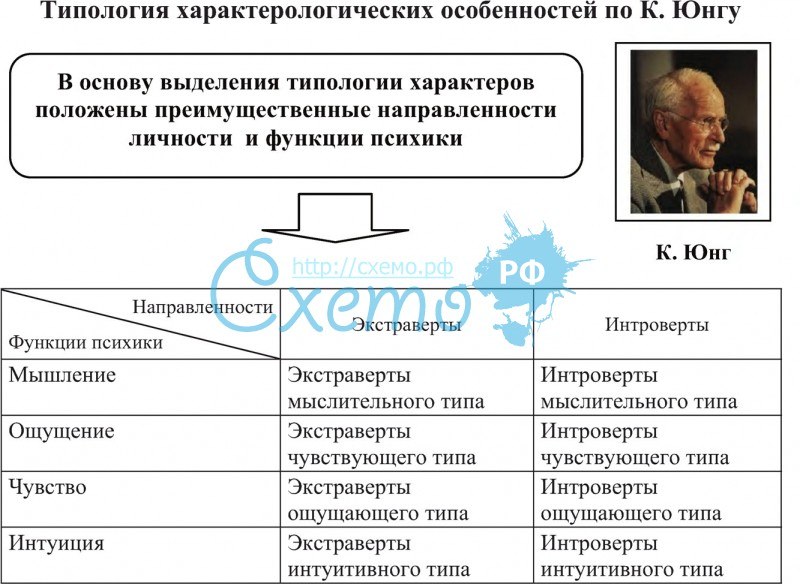 Экстраверт  мыслительный или логический