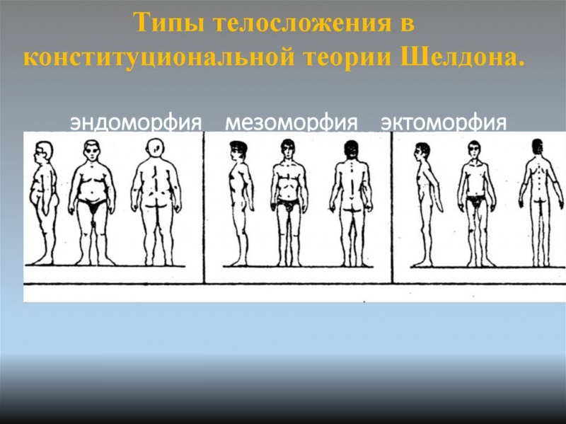 Эктоморфы &mdash; люди со сверхчувствительной психикой