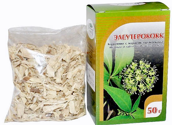 Элеутерококк – полезные свойства и противопоказания, применение настойки, чая