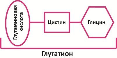 Элтацин при всд у взрослых, отзывы о лекарстве и инструкция к таблеткам