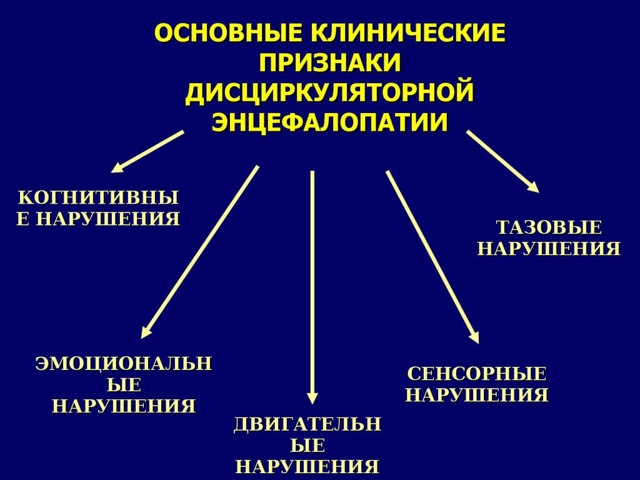 Энцефалопатия головного мозга и ее лечение у взрослых