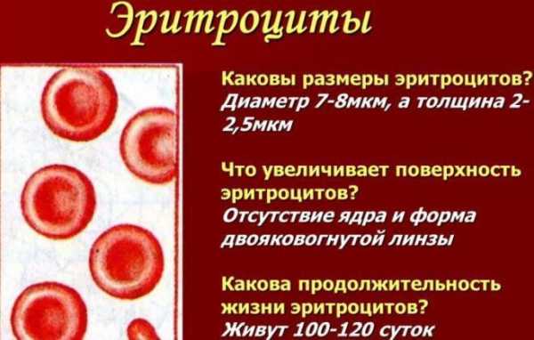 Эритроциты в моче у ребенка: 16 причин появления, норма и отклонение