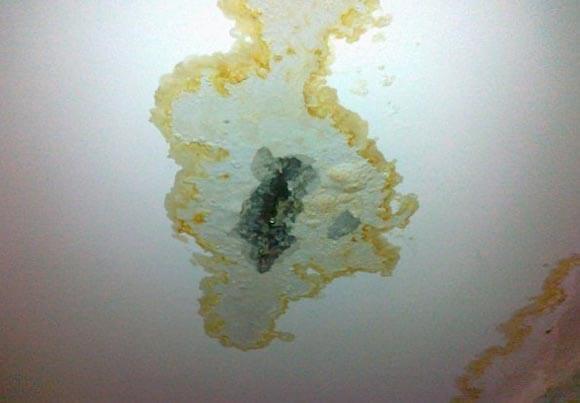 Если протекла крыша в многоквартирном доме куда обращаться