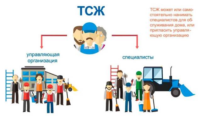 Есть ли зарплата у председателя тсж