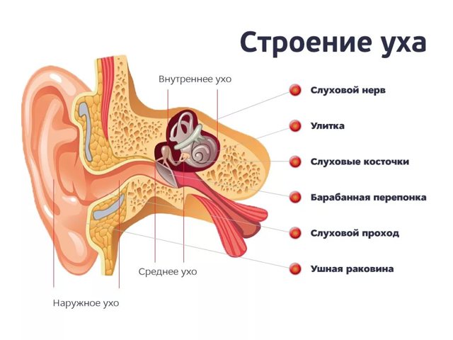 Евстахиит: симптомы и лечение тубоотита, признаки хронического и острого евстахиита, как лечить евстахиит