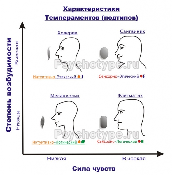 Флегматик:  характеристика типа темперамента