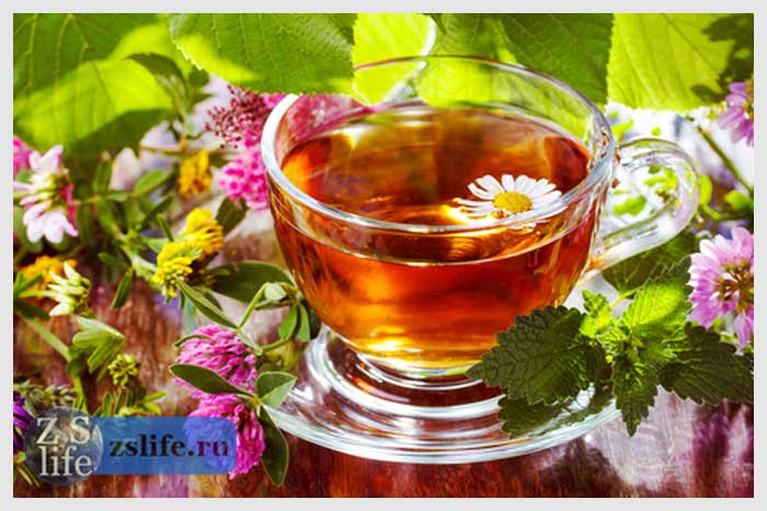 Гастрит лечение народными средствами – народная медицина, народные рецепты от гастрита