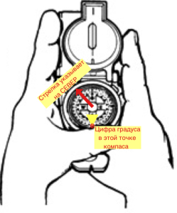 Где узнать площадь фасада многоквартирного дома