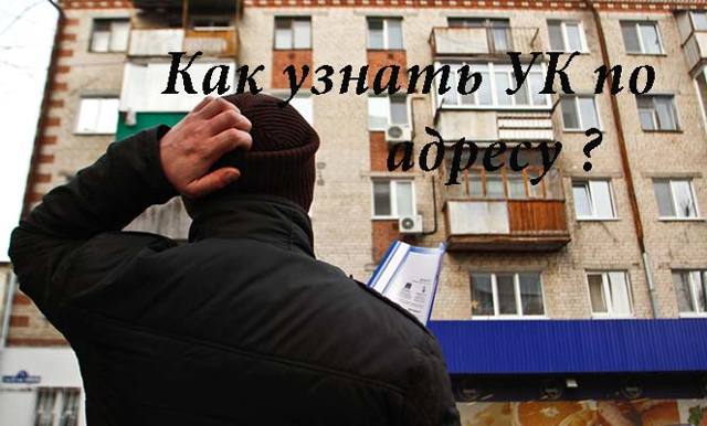 Где узнать свою управляющую компанию