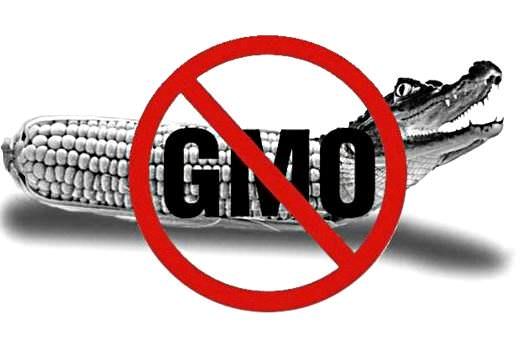 Генномодифицированные продукты, станем ли мы мутантами