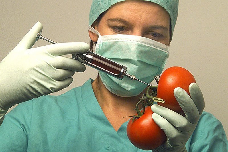 Генномодифицированные продукты, станем ли мы мутантами