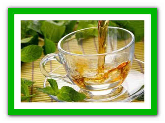 Гипотония – народные средства, народная медицина, народные рецепты