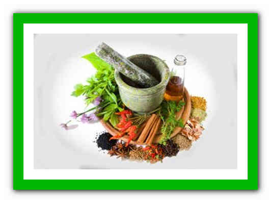 Гипотония – народные средства, народная медицина, народные рецепты