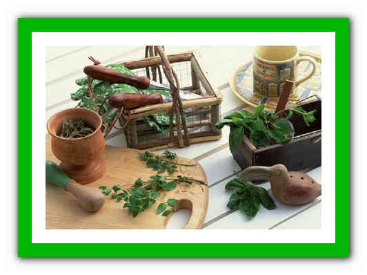 Гипотония – народные средства, народная медицина, народные рецепты