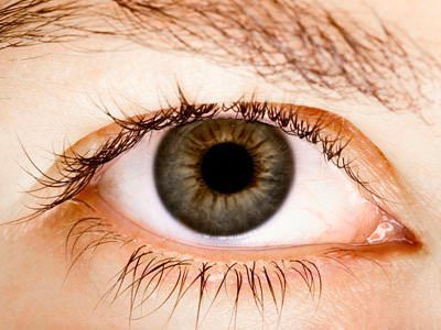 Глаукома народные средства / народная медицина / народные рецепты