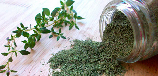 Глистная инвазия лечение народными средствами / народная медицина