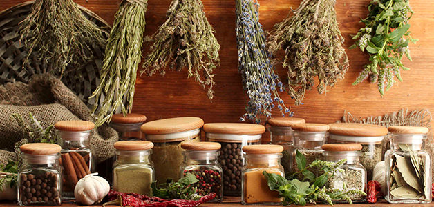 Глистная инвазия лечение народными средствами / народная медицина