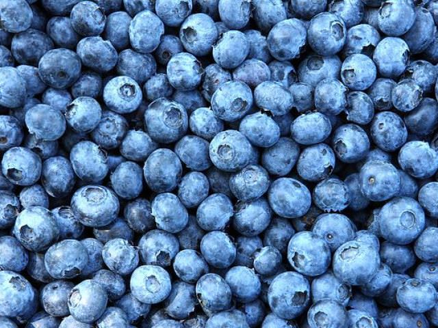 Голубика &mdash; полезные свойства и противопоказания ягод, листьев, сока, чая