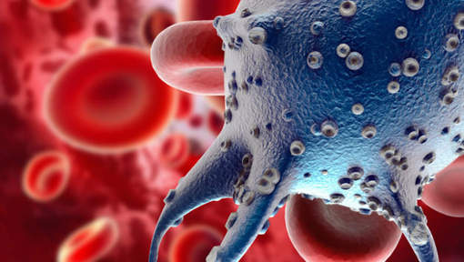 Гонорея &mdash; причины, симптомы, как вылечить гонорею, осложнения, профилактика