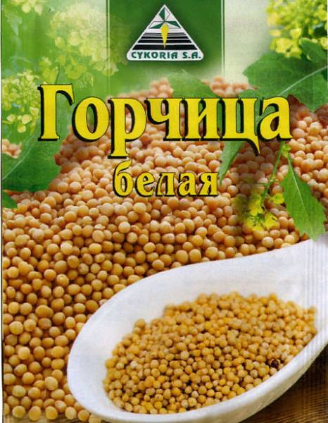 Горчица в домашних условиях из порошка &mdash; как сделать, виды горчицы, польза, противопоказания