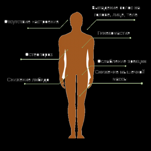Признаки гормонального сбоя у мужчин. Гормональные нарушения у мужчин. Гормональный сбой у мужчин. Гормональный сбой у мальчиков симптомы. Мальчик с женскими признаками.