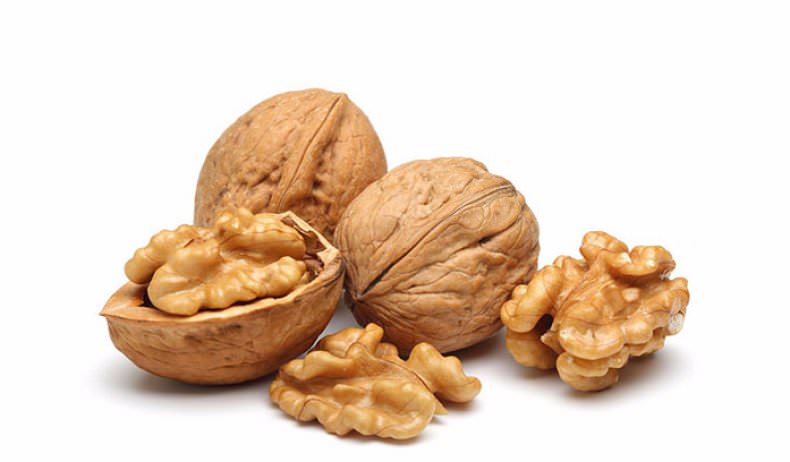 Грецкий орех: польза и вред, применение настойки зеленого грецкого ореха