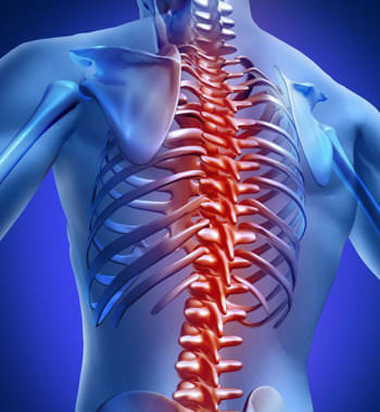 Грыжа шморля в поясничном отделе позвоночника &mdash; симптомы, лечение