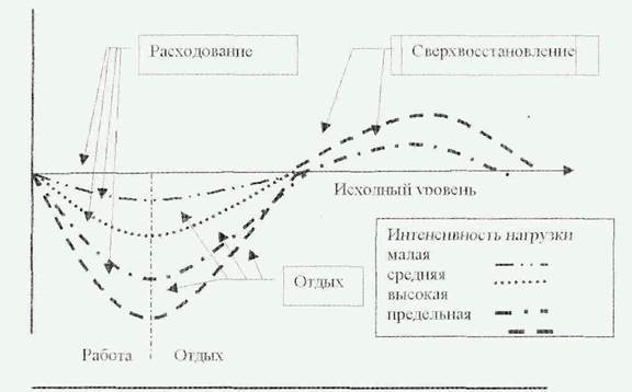 Гуморальная и нервная регуляция функций организма