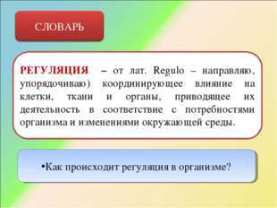 Гуморальная и нервная регуляция функций организма