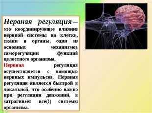 Гуморальная и нервная регуляция функций организма