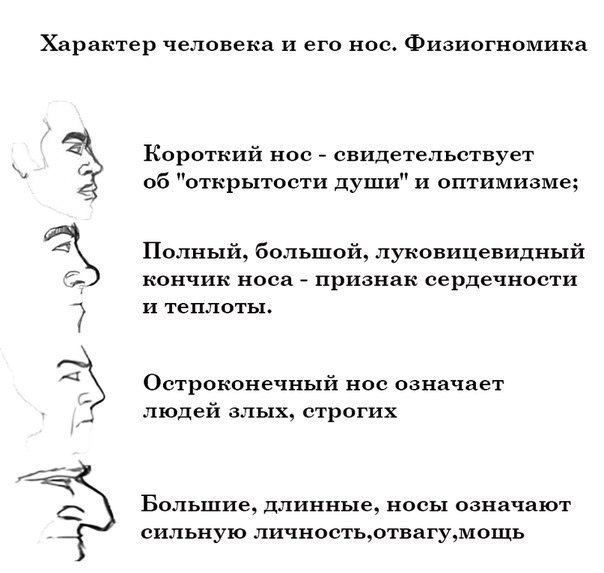Характер и форма носа взаимосвязаны?