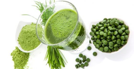 Хлорелла — полезные свойства и противопоказания супер-еды