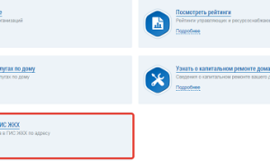 Идентификаторы гис жкх что это
