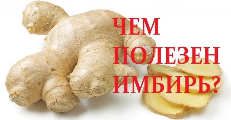 Имбирь — чем полезен для мужчин и женщин, польза и вред чая с имбирем