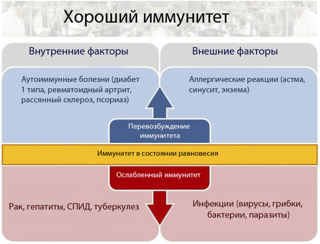 Имплантация зубов: виды операций, типы имплантов, показания и противопоказания