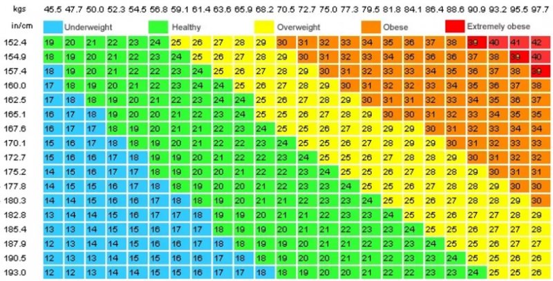 Индекс массы тела, таблица расчета индекса массы тела