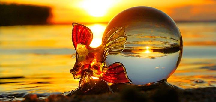 Исполнение мечты способствует счастью