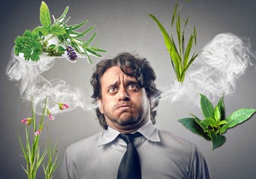 Истощение нервной системы – народные средства / народная медицина