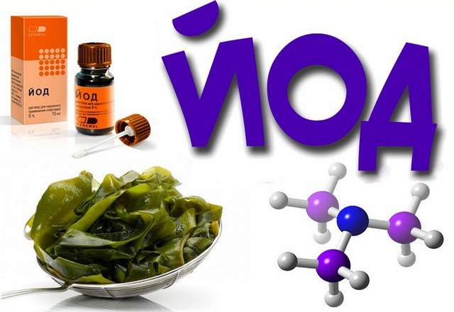 Йододефицит &ndash; симптомы и профилактика, продукты, содержащие йод