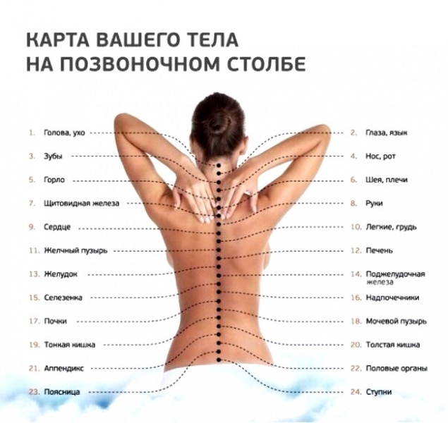 Кацудзо ниши и его система здоровья