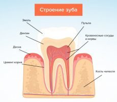 Как бороться с повышенной чувствительностью зубов: причины повышенной чувствительности зубов и методы их устранения