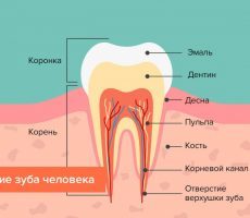 Как бороться с повышенной чувствительностью зубов: причины повышенной чувствительности зубов и методы их устранения